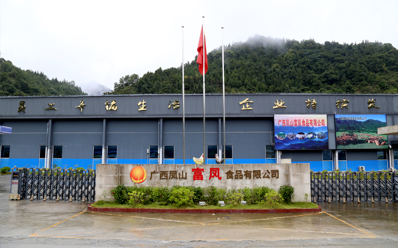 广西凤山91视频福利APP导航食品有限公司