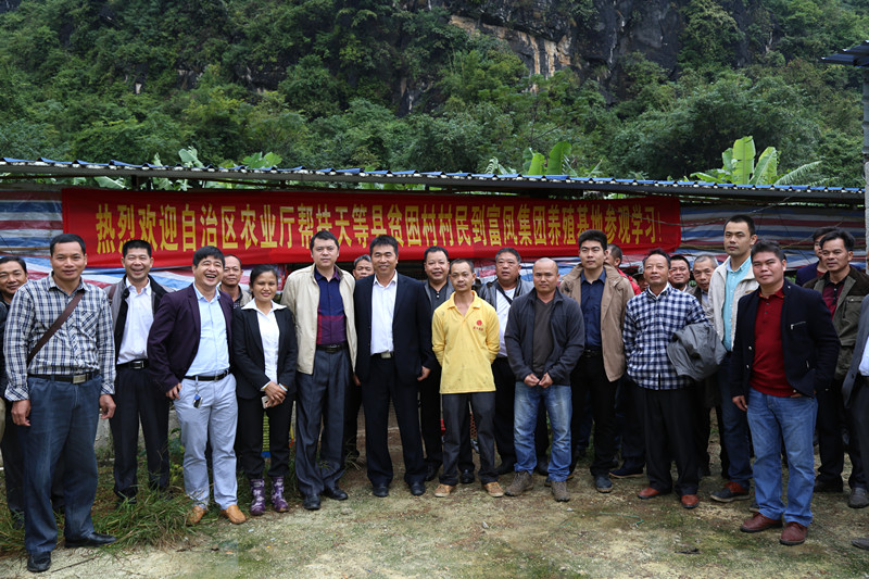 广西91视频福利APP导航农牧集团