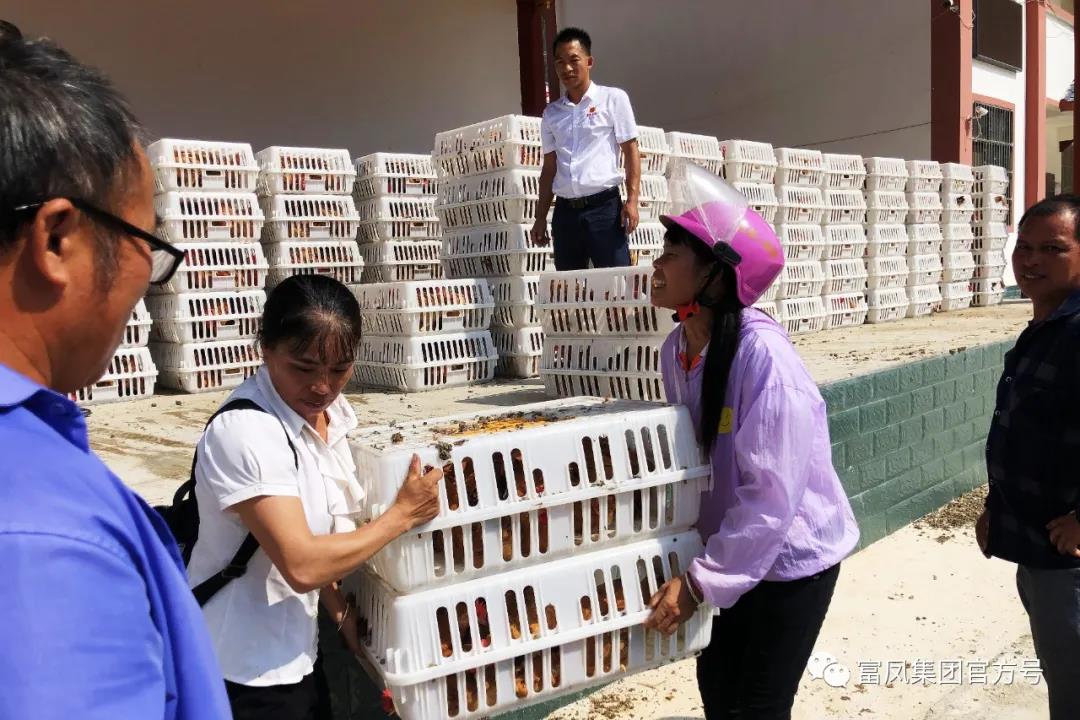 广西91视频福利APP导航农牧集团