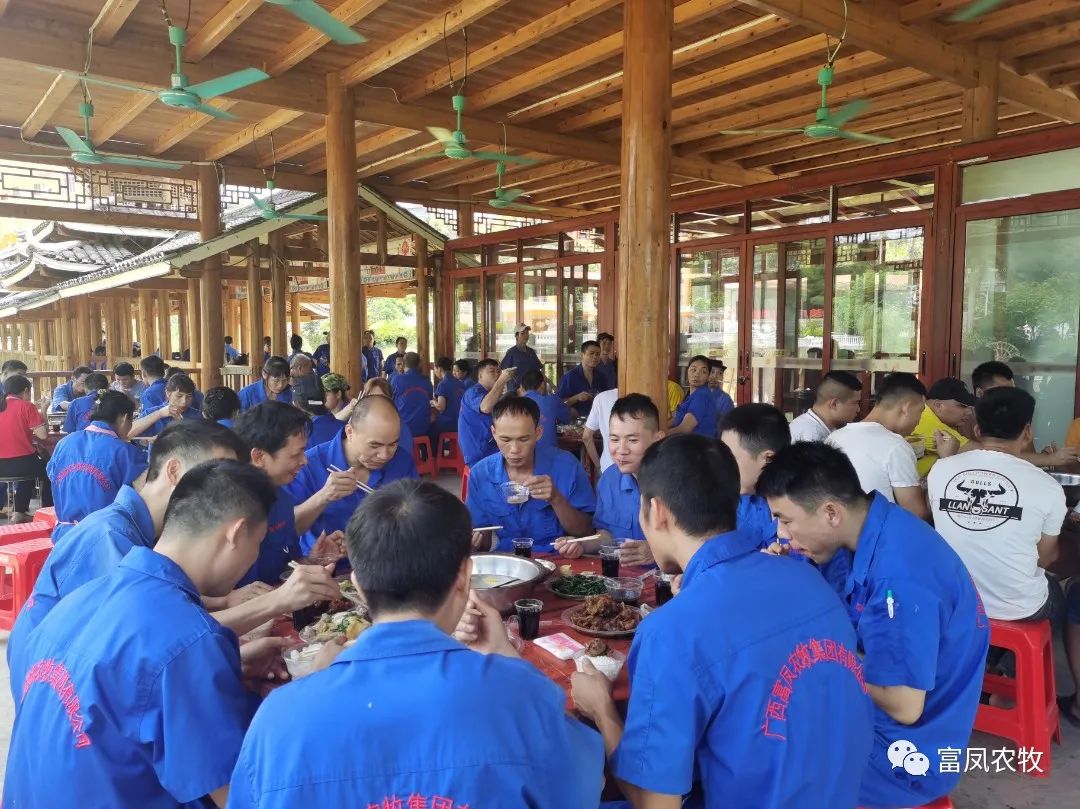 广西91视频福利APP导航农牧集团