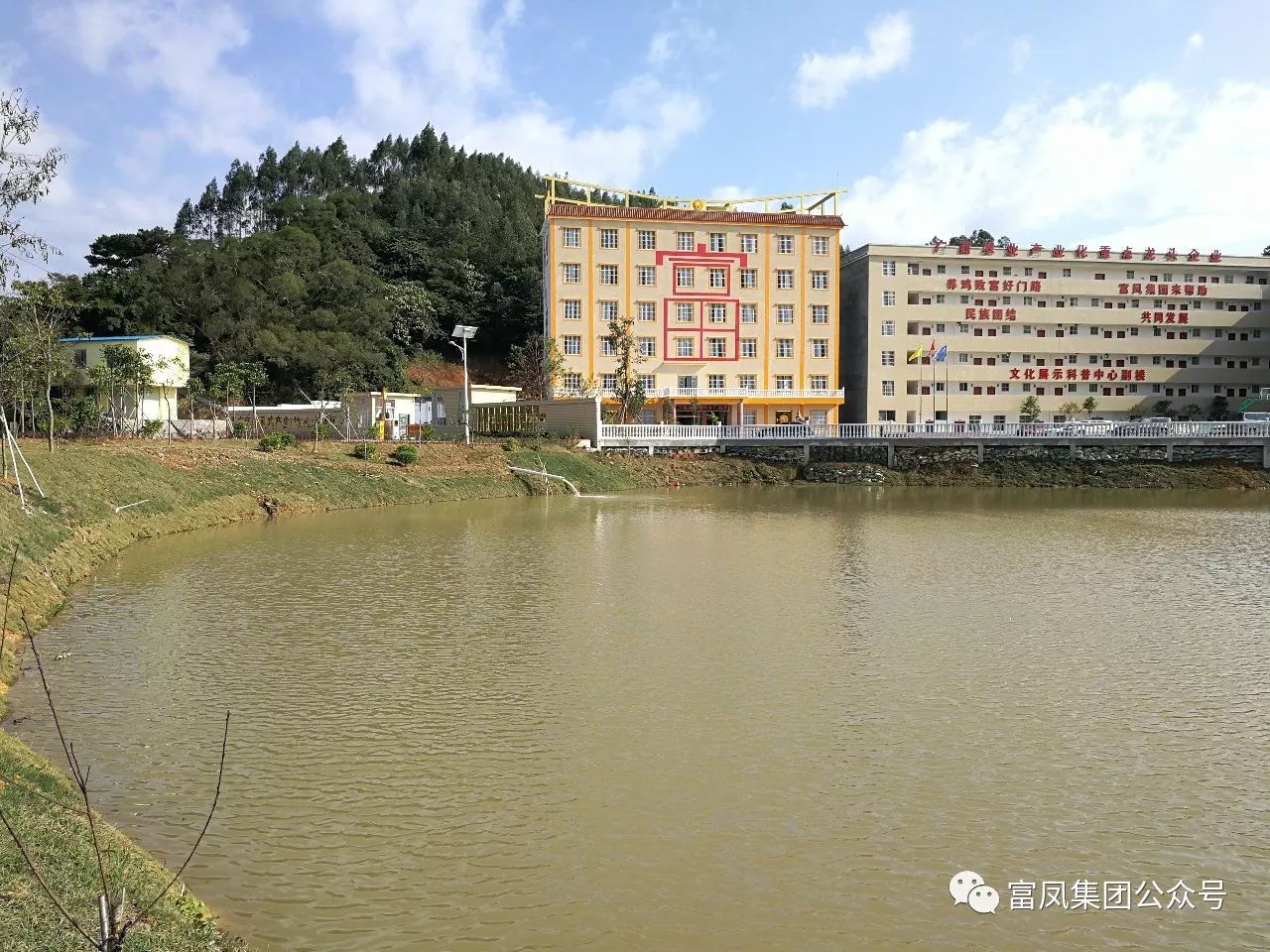 广西91视频福利APP导航农牧集团