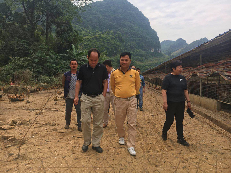 广西91视频福利APP导航农牧集团