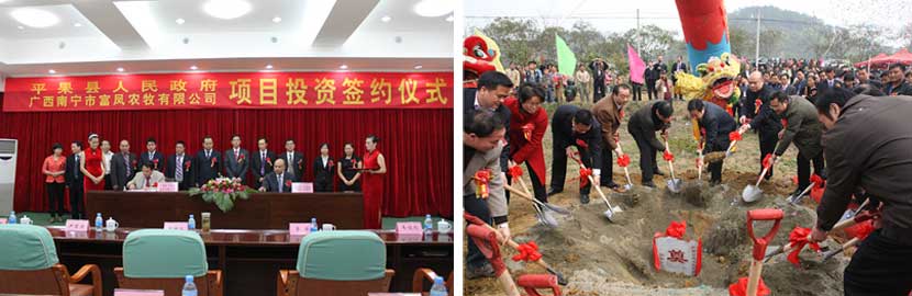 广西91视频福利APP导航农牧集团