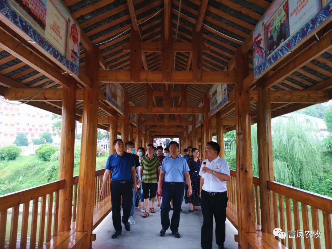 广西91视频福利APP导航农牧集团