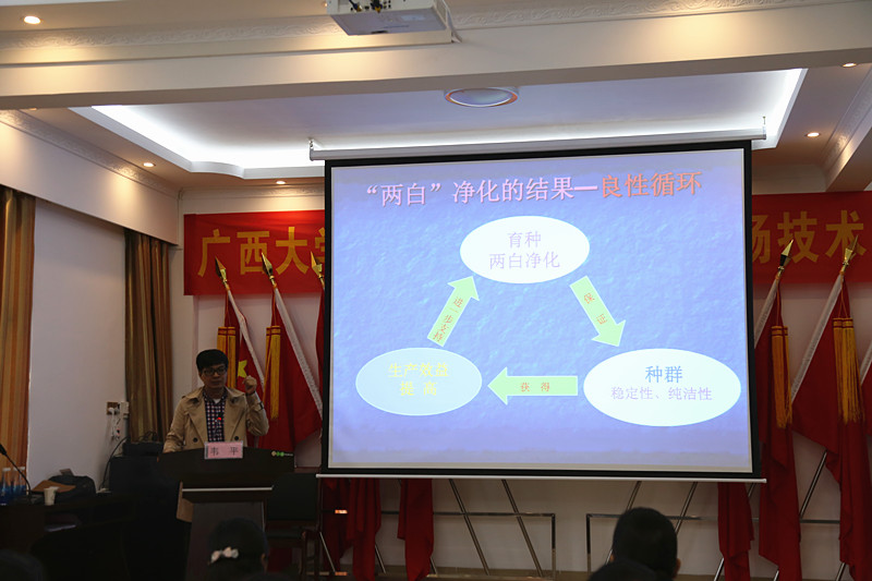 广西91视频福利APP导航农牧集团